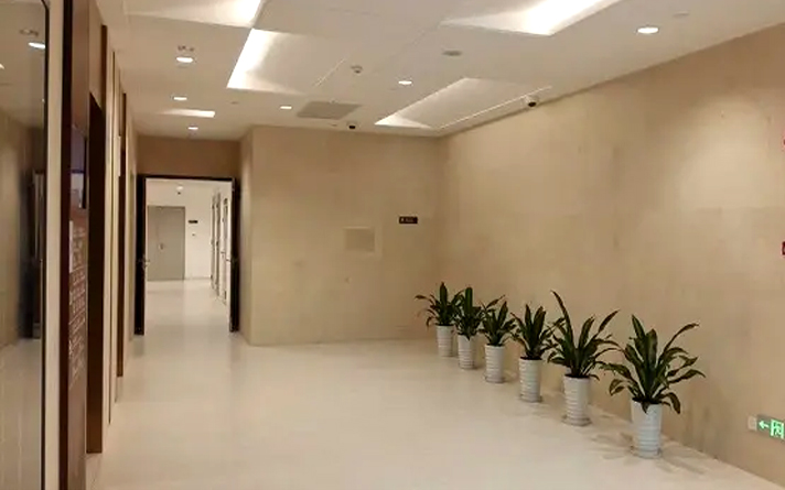 成品醫(yī)用鋼質(zhì)門廠家排名第一的是